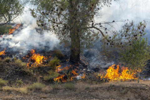 Fotos del incendio producido entre Obanos y Legarda.