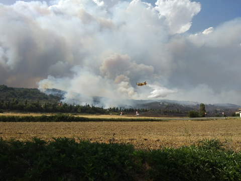 Fotos del incendio producido entre Obanos y Legarda en las cercanías de la localidad de Legarda.