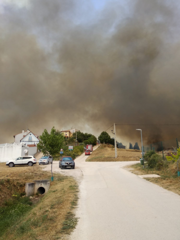 Fotos del incendio producido entre Obanos y Legarda en las cercanías de la localidad de Legarda.