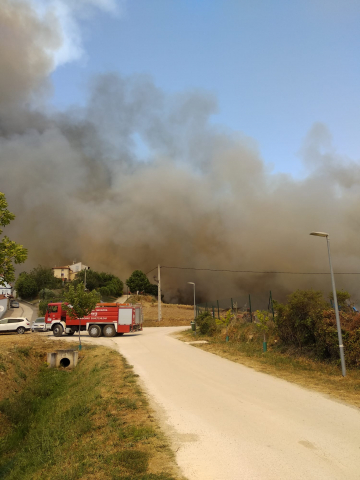 Fotos del incendio producido entre Obanos y Legarda en las cercanías de la localidad de Legarda.