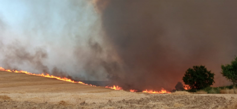 Fotos del incendio producido entre Obanos y Legarda llegando al término municipal de Puente la Reina.