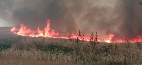 Fotos del incendio producido entre Obanos y Legarda llegando al término municipal de Puente la Reina.