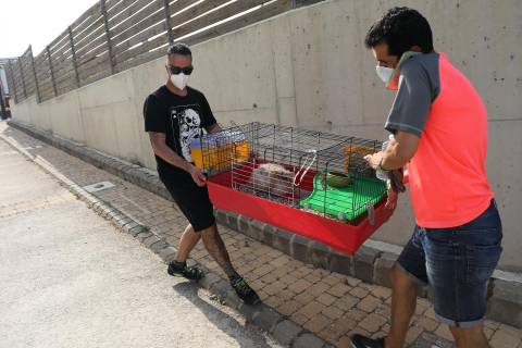 Fotos del incendio producido entre Obanos y Legarda.