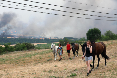 Fotos del incendio producido entre Obanos y Legarda.