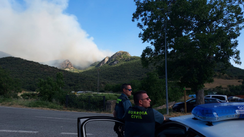 Fotos de los incendios activos en Navarra este domingo.