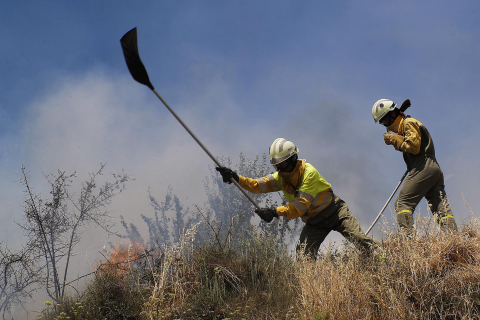 Fotos de los incendios activos en Navarra este domingo.