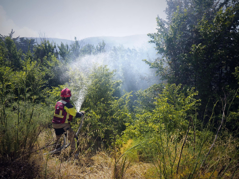 Fotos de los incendios activos en Navarra este domingo.
