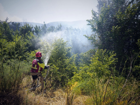 Fotos de los incendios activos en Navarra este domingo.