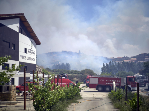 Fotos de los incendios activos en Navarra este domingo.