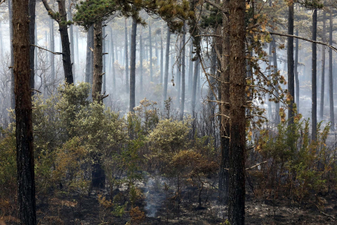 Fotos de los incendios en Navarra este lunes. Los bomberos trabajan en la extinción del incendio de la sierra del Perdón.
