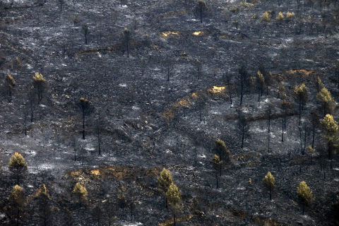 Fotos de los incendios en Navarra este lunes.