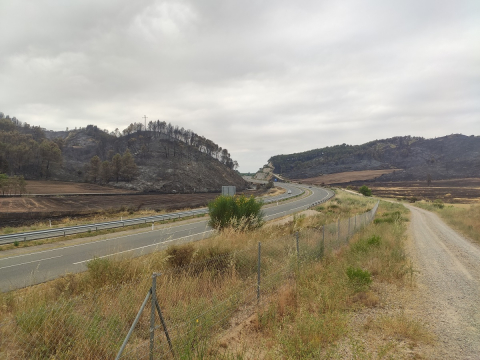 Fotos de los incendios en Navarra este martes. Efectos del incendio que ha afectado a los términos de Luquin, Villamayor de Monjardín y Los Arcos.