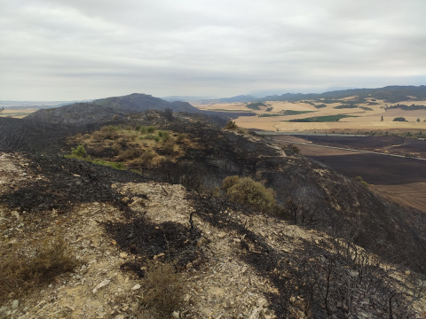 Fotos de los incendios en Navarra este martes. Efectos del incendio que ha afectado a los términos de Luquin, Villamayor de Monjardín y Los Arcos.