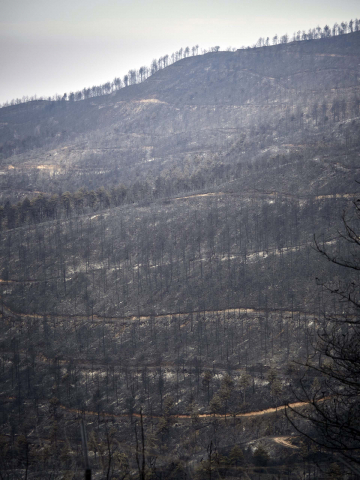 Fotos de los incendios en Navarra y sus efectos este martes.