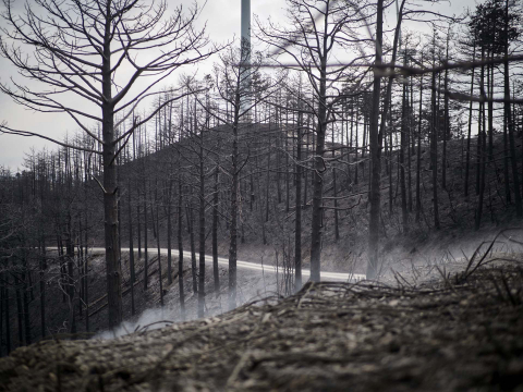 Fotos de los incendios en Navarra y sus efectos este martes.