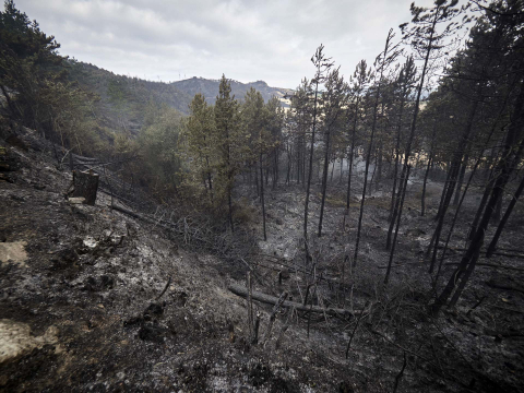 Fotos de los incendios en Navarra y sus efectos este martes.