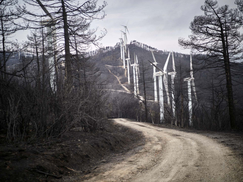 Fotos de los incendios en Navarra y sus efectos este martes.