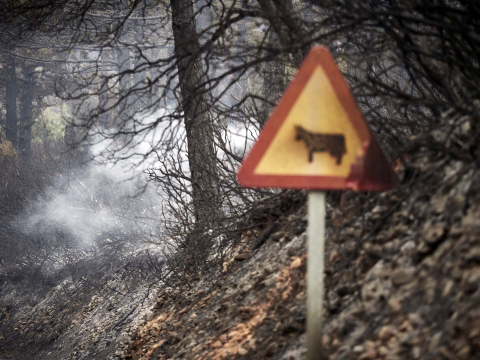 Fotos de los incendios en Navarra y sus efectos este martes.