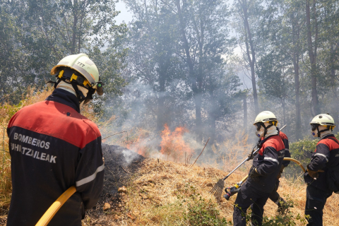 Labores de extinción en la zona de El Perdón.
