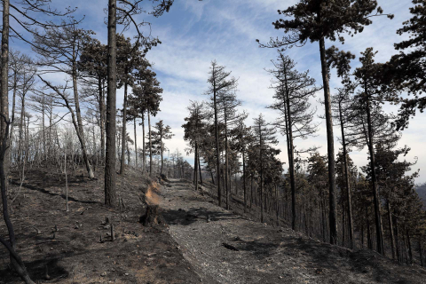 Fotos de los incendios en Navarra y sus efectos este martes. Vista de los daños causados por el fuego en la sierra de El Perdón y sus alrededores.