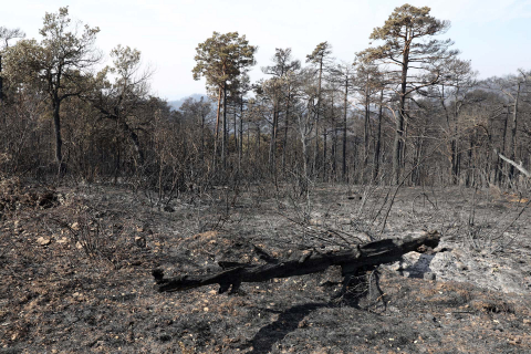 Fotos de los incendios en Navarra y sus efectos este martes. Vista de los daños causados por el fuego en la sierra de El Perdón y sus alrededores.