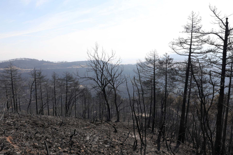 Fotos de los incendios en Navarra y sus efectos este martes. Vista de los daños causados por el fuego en la sierra de El Perdón y sus alrededores.