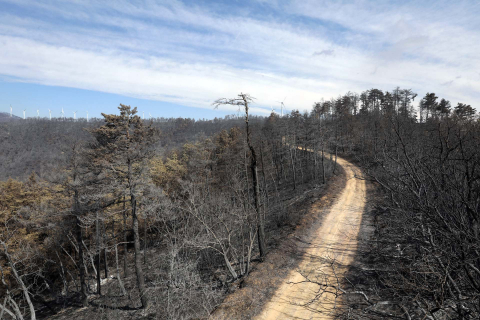 Fotos de los incendios en Navarra y sus efectos este martes. Vista de los daños causados por el fuego en la sierra de El Perdón y sus alrededores.