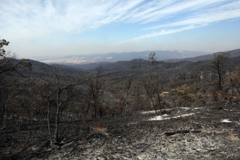 Fotos de los incendios en Navarra y sus efectos este martes. Vista de los daños causados por el fuego en la sierra de El Perdón y sus alrededores.