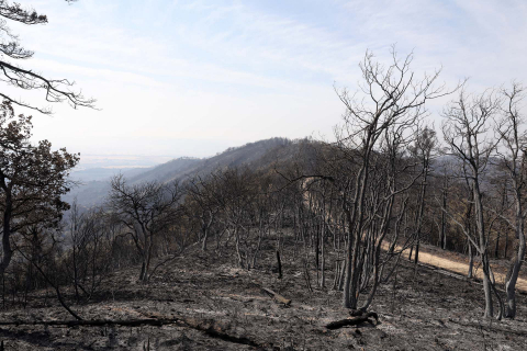 Fotos de los incendios en Navarra y sus efectos este martes. Vista de los daños causados por el fuego en la sierra de El Perdón y sus alrededores.