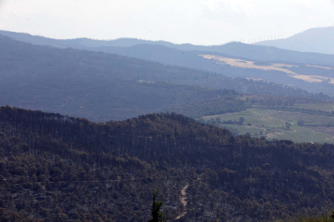 Fotos de los incendios en Navarra y sus efectos este martes. Zona quemada en Guirguillano.