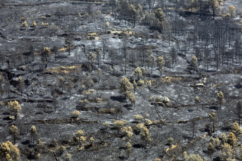 Fotos de los incendios en Navarra y sus efectos este martes. Zona quemada en Guirguillano.
