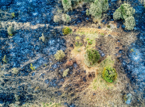 Efectos del incendio en el valle de Etxauri.