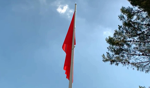 La bandera de Navarra, en la Plaza de los Fueros