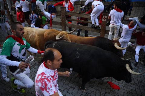 Encierro del 7 de julio 2022. Toros de Núñez del Cuvillo.