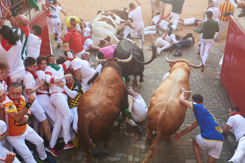 Encierro del 7 de julio 2022. Toros de Núñez del Cuvillo.