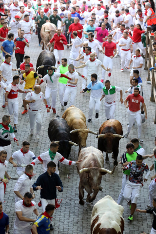 Encierro del 7 de julio 2022. Toros de Núñez del Cuvillo.