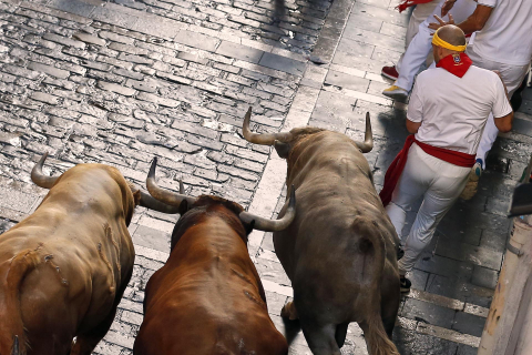 Encierro del 7 de julio 2022. Toros de Núñez del Cuvillo.