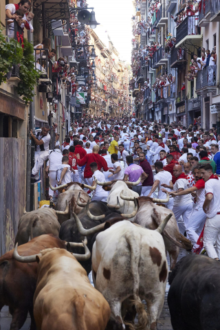 Encierro del 7 de julio 2022. Toros de Núñez del Cuvillo.