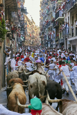 Encierro del 7 de julio 2022. Toros de Núñez del Cuvillo.