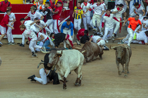 Entrada a la plaza de toros con un semimontón a la derceha y momento de peligro durante el primer encierro de los Sanfermines 2022
