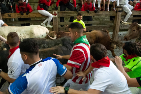 Fotos del cuarto encierro de San Fermín 2022