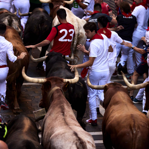 Fotos del quinto encierro de San Fermín 2022