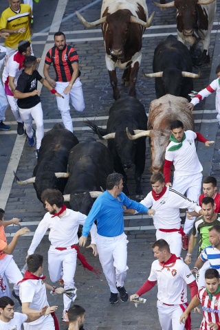 Fotos del séptimo encierro de San Fermín