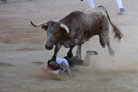 Imagen del mozo arrollado por los Victoriano del Río tras levantarse en el ruedo de la plaza de toros en el séptimo encierro