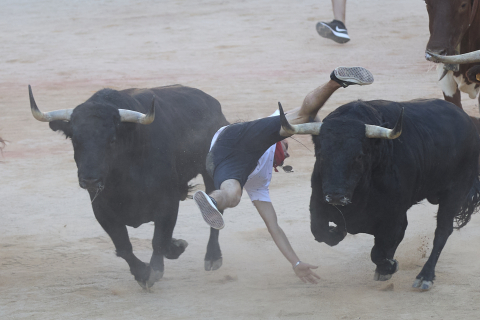 Imagen del mozo arrollado por los Victoriano del Río tras levantarse en el ruedo de la plaza de toros en el séptimo encierro