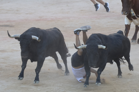 Imagen del mozo arrollado por los Victoriano del Río tras levantarse en el ruedo de la plaza de toros en el séptimo encierro