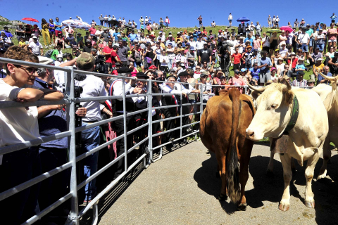 Autoridades de los valles de Roncal y Baretous escenificaron por 647 vez la firma del Tributo de las Tres Vacas