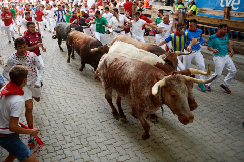 Fotos del octavo encierro de San Fermín