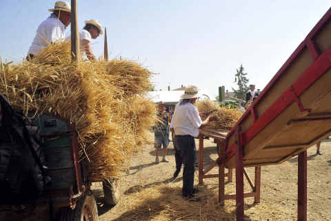 Día del mundo rural