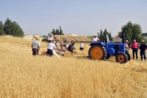 Día del mundo rural